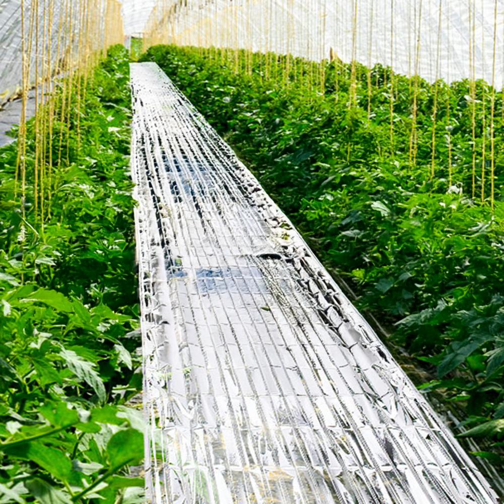 Emergency Mylar Blanket - Upgrade thermische nooddeken Versterkte Mylar-folie Plantbescherming