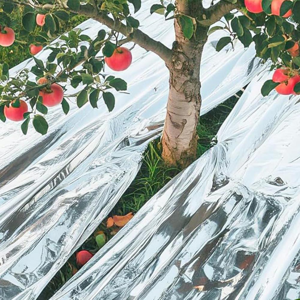 Upgrade thermische nooddeken V - Emergency Mylar Blanket recensie en prijs